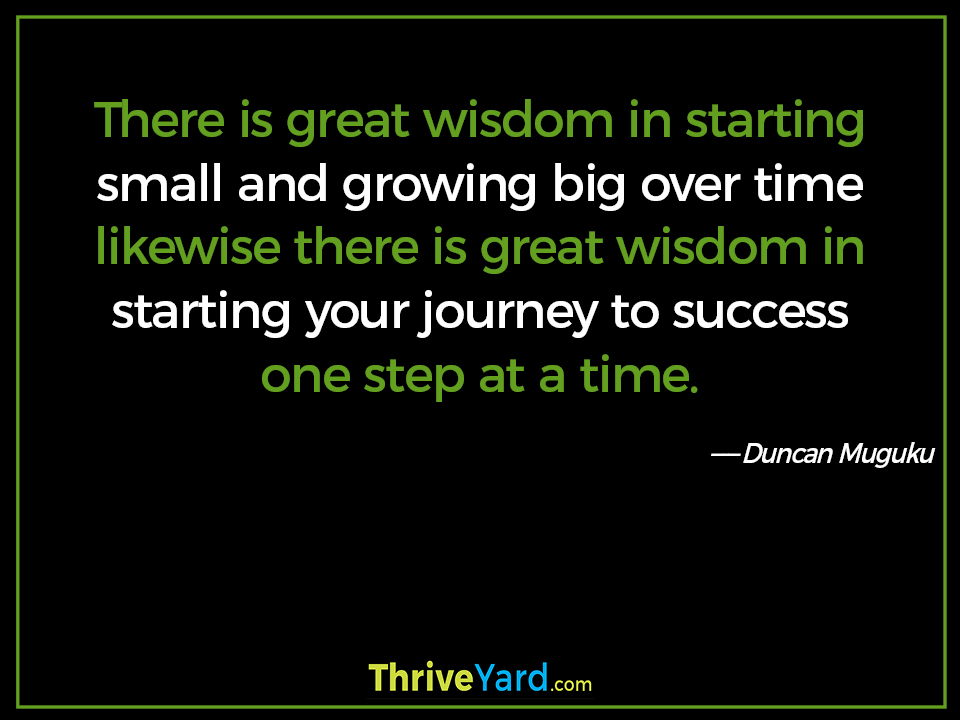 There is great wisdom in starting small and growing big over time likewise there is great wisdom in starting your journey to success one step at a time -Duncan Muguku_ThriveYard