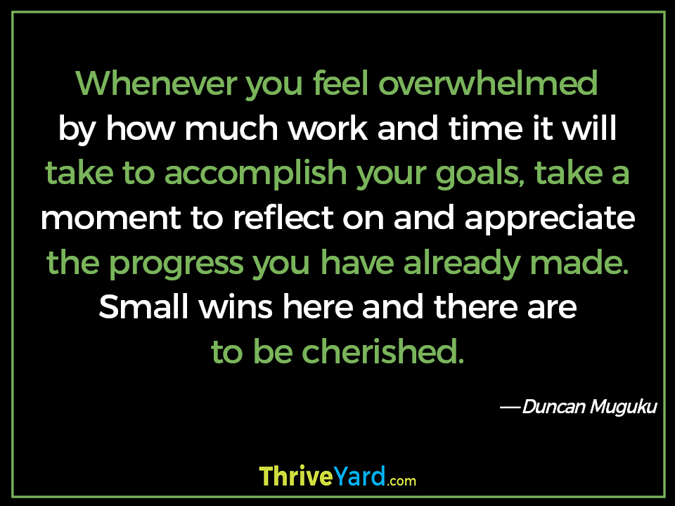 Whenever you feel overwhelmed by how much work and time it will take to accomplish your goals, take a moment to reflect on and appreciate the progress you have already made. Small wins here and there are to be cherished-Duncan Muguku_ThriveYard