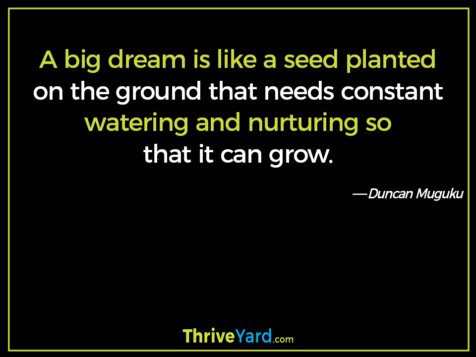 A big dream is like a seed planted on the ground that needs constant watering and nurturing so that it can grow. ― Duncan Muguku